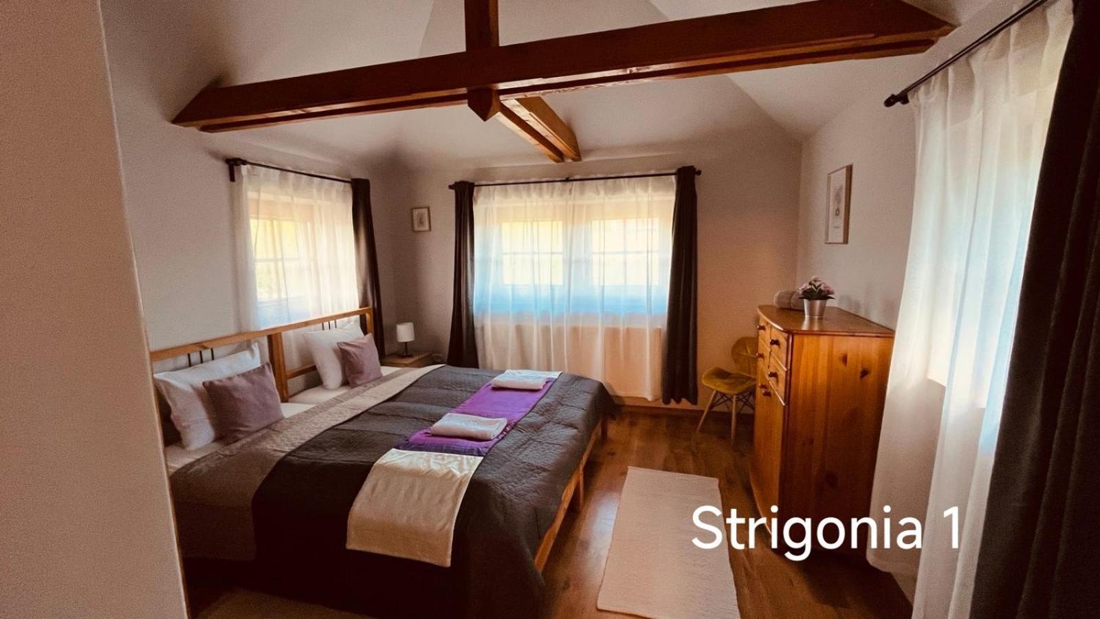 Strigonia Apartman Ostrzyhom Zewnętrze zdjęcie